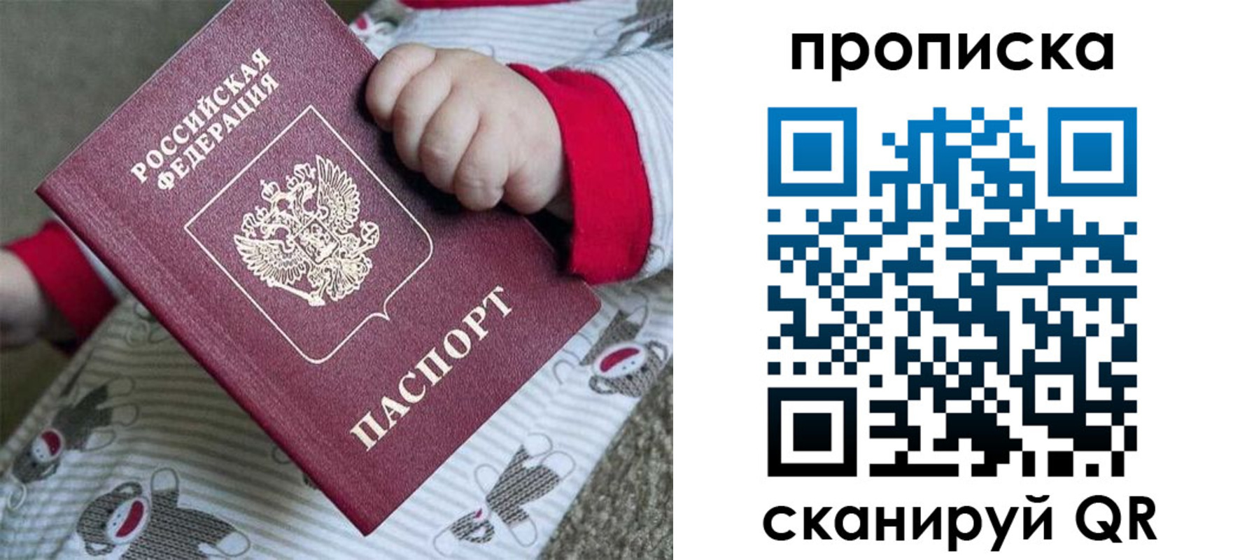 прописка 2025 в Александровске